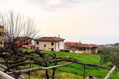 Terra a Belvedere Marittimo, Cosenza, Belvedere Marittimo - € 130.000 | Ref: 1164 - foto 6