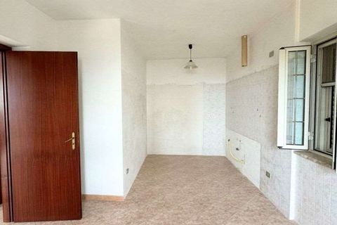 Terra a Belvedere Marittimo, Cosenza, Belvedere Marittimo - € 130.000 | Ref: 1164 - foto 9