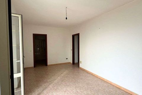 Terra a Belvedere Marittimo, Cosenza, Belvedere Marittimo - € 130.000 | Ref: 1164 - foto 11