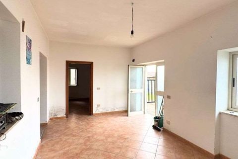 Terra a Belvedere Marittimo, Cosenza, Belvedere Marittimo - € 130.000 | Ref: 1164 - foto 12