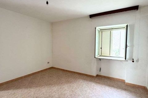 Terra a Belvedere Marittimo, Cosenza, Belvedere Marittimo - € 130.000 | Ref: 1164 - foto 14