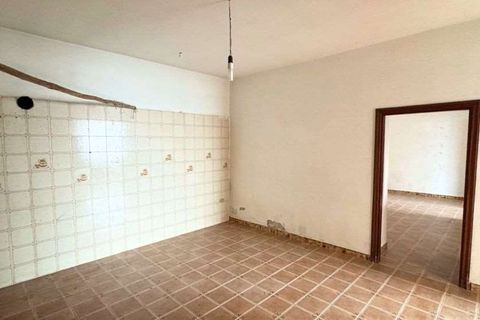 Terra a Belvedere Marittimo, Cosenza, Belvedere Marittimo - € 130.000 | Ref: 1164 - foto 18