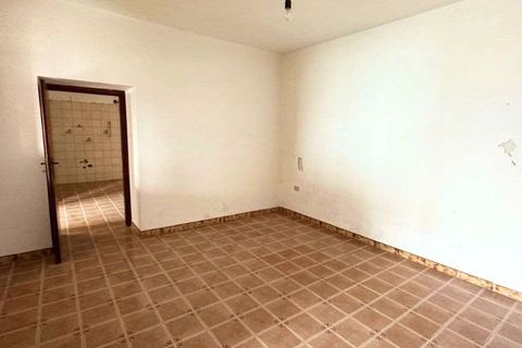 Terra a Belvedere Marittimo, Cosenza, Belvedere Marittimo - € 130.000 | Ref: 1164 - foto 19