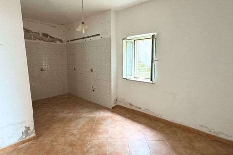 Terra a Belvedere Marittimo, Cosenza, Belvedere Marittimo - € 130.000 | Ref: 1164 - foto 20