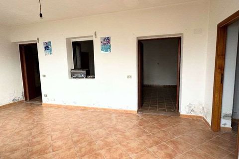 Terra a Belvedere Marittimo, Cosenza, Belvedere Marittimo - € 130.000 | Ref: 1164 - foto 21