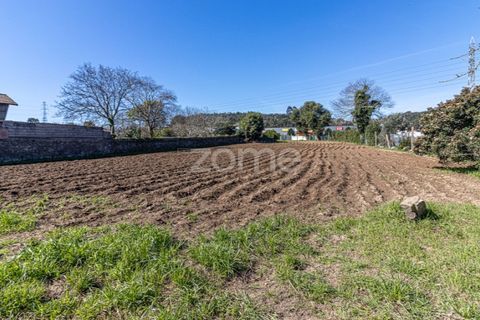 Farm i Pedroso, Porto, Pedroso - € 395.000 | Ref: ZMPT575210 - foto 5
