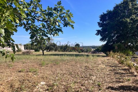 Landejendom i Ostuni, Brindisi, Ostuni - € 290.000 | Ref: 332 - foto 13