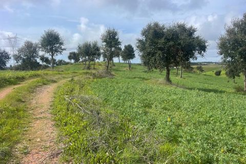 Helårsgrund i Sines, Setubal, Sines - € 150.000 | Ref: 2025018 - foto 1