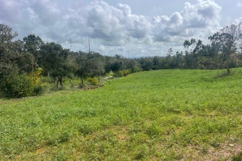 Helårsgrund i Sines, Setubal, Sines - € 150.000 | Ref: 2025018 - foto 2