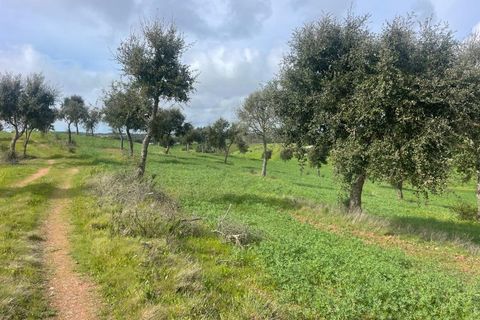 Helårsgrund i Sines, Setubal, Sines - € 150.000 | Ref: 2025018 - foto 5