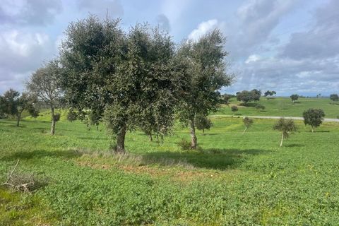 Helårsgrund i Sines, Setubal, Sines - € 150.000 | Ref: 2025018 - foto 7
