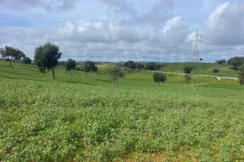 Helårsgrund i Sines, Setubal, Sines - € 150.000 | Ref: 2025018 - foto 8