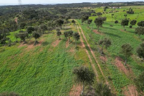 Helårsgrund i Sines, Setubal, Sines - € 150.000 | Ref: 2025018 - foto 14