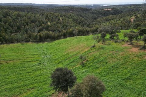 Helårsgrund i Sines, Setubal, Sines - € 150.000 | Ref: 2025018 - foto 15