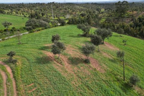 Helårsgrund i Sines, Setubal, Sines - € 150.000 | Ref: 2025018 - foto 16