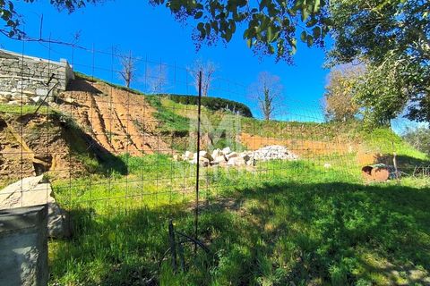 Helårsgrund i Venade e Azevedo, Viana do Castelo, Venade e Azevedo - € 73.000 | Ref: D346 - foto 6