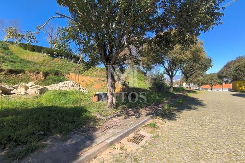 Helårsgrund i Venade e Azevedo, Viana do Castelo, Venade e Azevedo - € 73.000 | Ref: D346 - foto 9