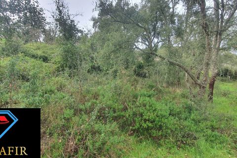 Helårsgrund i Tomar, Santarem, Tomar - € 6.500 | Ref: 00623 - foto 3