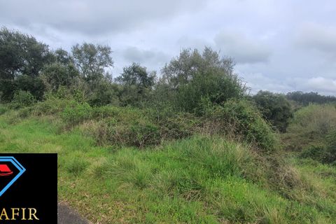 Helårsgrund i Tomar, Santarem, Tomar - € 6.500 | Ref: 00623 - foto 5