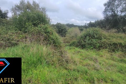 Helårsgrund i Tomar, Santarem, Tomar - € 6.500 | Ref: 00623 - foto 6