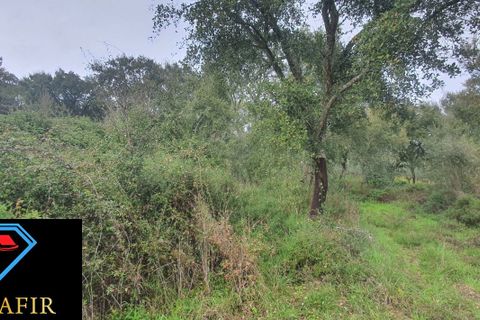Helårsgrund i Tomar, Santarem, Tomar - € 6.500 | Ref: 00623 - foto 7