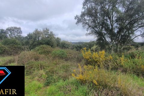 Helårsgrund i Tomar, Santarem, Tomar - € 6.500 | Ref: 00623 - foto 10