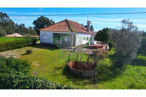 Farm i Tomar, Santarem, Tomar - € 235.000 | Ref: STAR_225 - foto 2