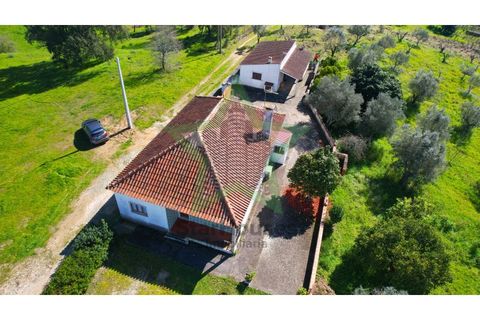 Farm i Tomar, Santarem, Tomar - € 235.000 | Ref: STAR_225 - foto 3
