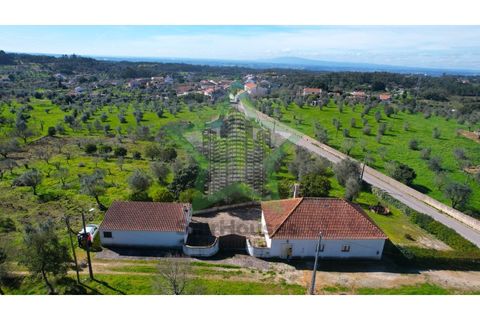 Farm i Tomar, Santarem, Tomar - € 235.000 | Ref: STAR_225 - foto 4