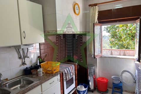 Farm i Tomar, Santarem, Tomar - € 235.000 | Ref: STAR_225 - foto 13