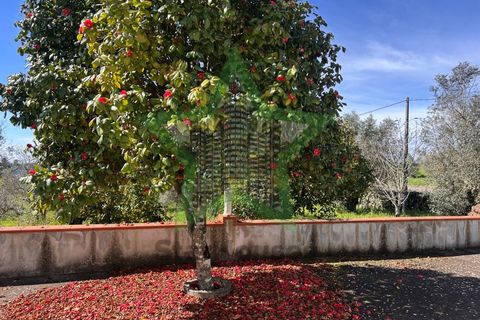 Farm i Tomar, Santarem, Tomar - € 235.000 | Ref: STAR_225 - foto 16