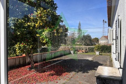 Farm i Tomar, Santarem, Tomar - € 235.000 | Ref: STAR_225 - foto 17