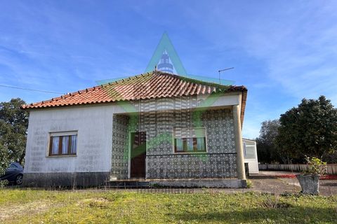 Farm i Tomar, Santarem, Tomar - € 235.000 | Ref: STAR_225 - foto 23