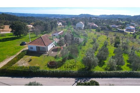 Farm i Tomar, Santarem, Tomar - € 235.000 | Ref: STAR_225 - foto 24