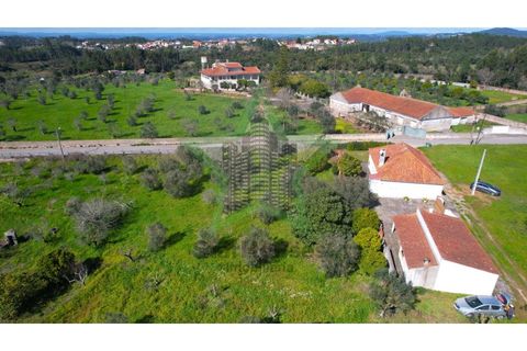 Farm i Tomar, Santarem, Tomar - € 235.000 | Ref: STAR_225 - foto 25