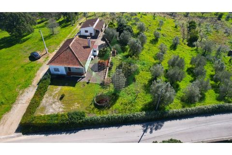 Farm i Tomar, Santarem, Tomar - € 235.000 | Ref: STAR_225 - foto 26