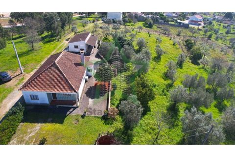 Farm i Tomar, Santarem, Tomar - € 235.000 | Ref: STAR_225 - foto 27