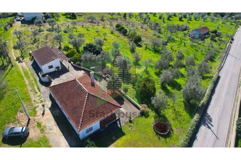 Farm i Tomar, Santarem, Tomar - € 235.000 | Ref: STAR_225 - foto 28