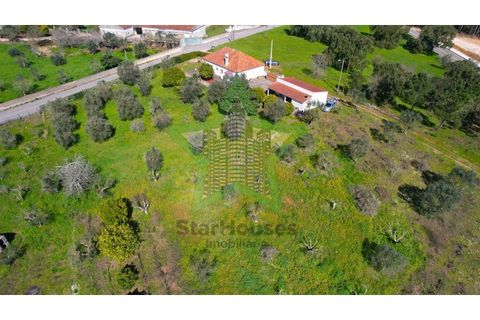 Farm i Tomar, Santarem, Tomar - € 235.000 | Ref: STAR_225 - foto 29
