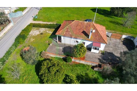Farm i Tomar, Santarem, Tomar - € 235.000 | Ref: STAR_225 - foto 30