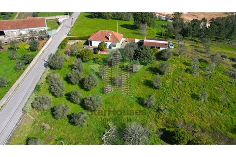 Farm i Tomar, Santarem, Tomar - € 235.000 | Ref: STAR_225 - foto 31