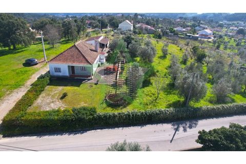Farm i Tomar, Santarem, Tomar - € 235.000 | Ref: STAR_225 - foto 32