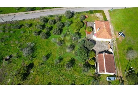 Farm i Tomar, Santarem, Tomar - € 235.000 | Ref: STAR_225 - foto 33