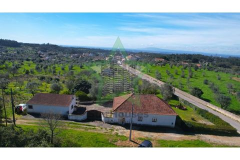 Farm i Tomar, Santarem, Tomar - € 235.000 | Ref: STAR_225 - foto 34
