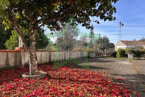 Farm i Tomar, Santarem, Tomar - € 235.000 | Ref: STAR_225 - foto 37