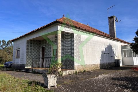 Farm i Tomar, Santarem, Tomar - € 235.000 | Ref: STAR_225 - foto 47