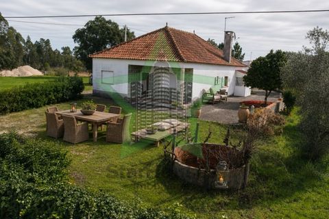 Farm i Tomar, Santarem, Tomar - € 235.000 | Ref: STAR_225 - foto 1