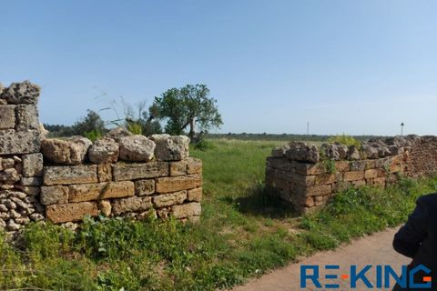 Terra a Galatone, Lecce, Galatone - € 10.000 | Ref: TA178 - foto 2