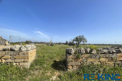 Terra a Galatone, Lecce, Galatone - € 10.000 | Ref: TA178 - foto 3