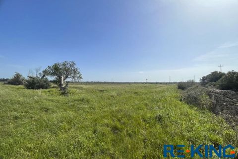 Terra a Galatone, Lecce, Galatone - € 10.000 | Ref: TA178 - foto 6